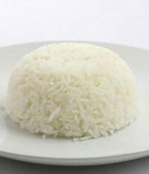 website template image