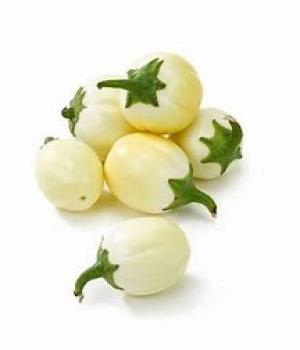 website template image